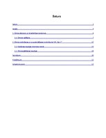 Referāts 'Zīmola popularizēšanas iespējas SIA "Eso 1" darbības veicināšanai', 2.