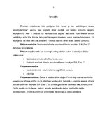 Referāts 'Zīmola popularizēšanas iespējas SIA "Eso 1" darbības veicināšanai', 3.