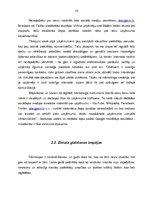 Referāts 'Zīmola popularizēšanas iespējas SIA "Eso 1" darbības veicināšanai', 16.