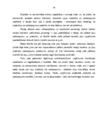 Referāts 'Zīmola popularizēšanas iespējas SIA "Eso 1" darbības veicināšanai', 19.