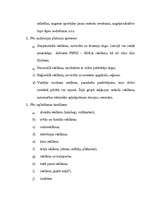 Referāts 'Reklāma', 4.