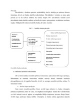 Referāts 'Taivānas naudas un kredīta politika', 5.