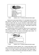 Referāts 'Uzņēmuma darbinieku motivācijas sistēmas analīze un uzlabošana', 36.