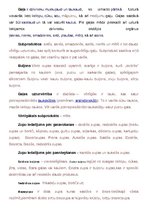 Konspekts 'Produktu iedalījums', 1.