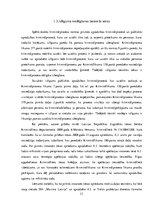 Diplomdarbs 'Izlīgums Kriminālprocesā', 20.