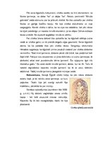 Referāts 'Senās Ēģiptes mitoloģija, reliģija, māksla, arhitektūra un zinātne. Pirmā daļa', 15.