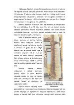 Referāts 'Senās Ēģiptes mitoloģija, reliģija, māksla, arhitektūra un zinātne. Pirmā daļa', 30.