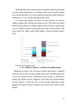 Referāts 'Latvijas Republikas komercbanku kredītportfeļa kvalitāte un riski', 15.