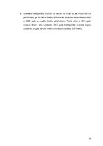 Referāts 'Latvijas Republikas komercbanku kredītportfeļa kvalitāte un riski', 30.