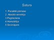 Prezentācija 'Ģeometriskie pārveidojumi dabā', 3.