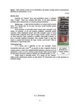 Referāts 'SIA "Aldaris" tirgus analīze', 17.