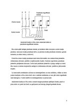 Konspekts 'Statora tinuma izveidojums', 9.