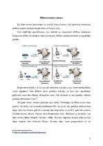 Referāts 'Biheiviorisms', 3.