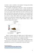 Referāts 'Biheiviorisms', 4.