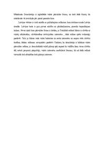 Referāts 'Politiskie režīmi', 3.