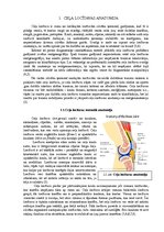 Diplomdarbs 'Ceļa locītavas rentgenogrāfija traumu gadījumā', 7.