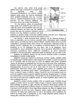 Diplomdarbs 'Ceļa locītavas rentgenogrāfija traumu gadījumā', 10.