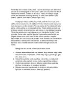 Eseja 'Aizvēstures kultūras iezīmes', 2.