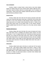 Diplomdarbs 'Uzņēmuma "Latvijas Mobilais Telefons" drukātās reklāmas vizuālo elementu atšķirī', 134.