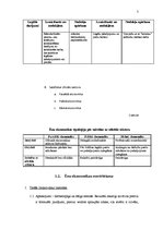 Referāts 'Ēnu ekonomika Latvijā', 5.