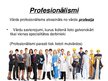 Prezentācija 'Profesionālismi un termini', 2.