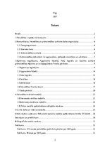 Prakses atskaite 'Prakses pārskats X novada pašvaldībā', 2.