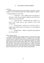 Prakses atskaite 'Prakses pārskats X novada pašvaldībā', 26.