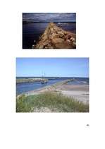 Referāts 'Pāvilosta', 14.