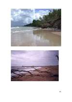 Referāts 'Pāvilosta', 16.