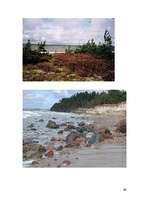 Referāts 'Pāvilosta', 17.