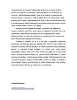 Referāts 'Sociālais darbs', 3.