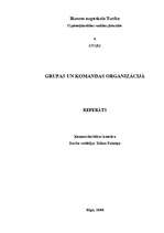 Referāts 'Komandas un grupas organizācijā', 1.