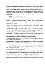 Referāts 'Komandas un grupas organizācijā', 4.