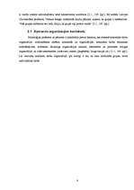 Referāts 'Komandas un grupas organizācijā', 8.