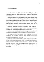 Biznesa plāns 'Biznesa plāns', 2.