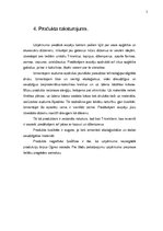 Biznesa plāns 'Biznesa plāns', 5.