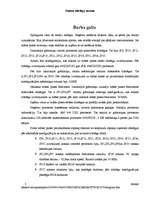 Eseja 'Datoru tiltslēgu nozīme', 3.