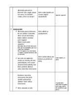 Konspekts 'Nodarbība runas attīstīšanā sagatavošanas grupā "Augļi"', 6.