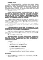 Konspekts 'Viduslaiku reliģija', 2.