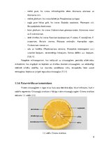 Referāts 'Citrusaugļu kvalitāte Jelgavas lielveikalos', 8.