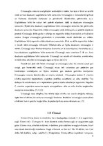 Referāts 'Citrusaugļu kvalitāte Jelgavas lielveikalos', 9.