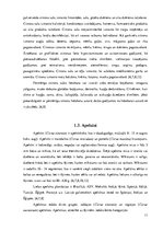 Referāts 'Citrusaugļu kvalitāte Jelgavas lielveikalos', 11.