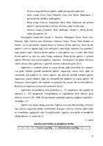 Referāts 'Citrusaugļu kvalitāte Jelgavas lielveikalos', 12.