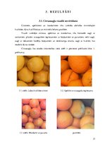 Referāts 'Citrusaugļu kvalitāte Jelgavas lielveikalos', 23.