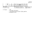 Referāts 'Citrusaugļu kvalitāte Jelgavas lielveikalos', 62.