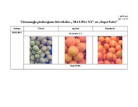 Referāts 'Citrusaugļu kvalitāte Jelgavas lielveikalos', 73.