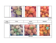 Referāts 'Citrusaugļu kvalitāte Jelgavas lielveikalos', 74.