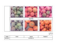 Referāts 'Citrusaugļu kvalitāte Jelgavas lielveikalos', 77.