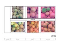 Referāts 'Citrusaugļu kvalitāte Jelgavas lielveikalos', 78.