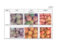 Referāts 'Citrusaugļu kvalitāte Jelgavas lielveikalos', 83.